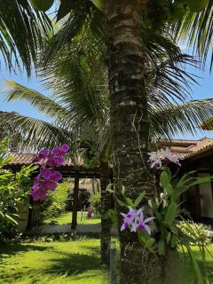 Casa Pomar do Aconchego - Paraty - 6