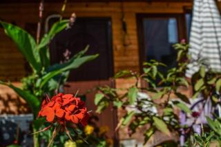 BACKYARD APARTMENT - 1