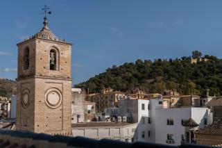 Palacio Solecio, a Small Luxury Hotel of the World - Malaga - 2