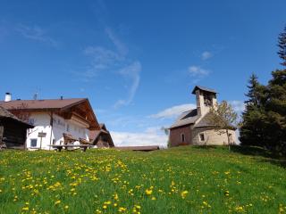 Gasthof St. Ulrich - Meltina - 5