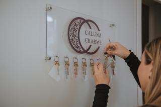 Hotel Caluna Charme - San Giovanni a Piro - 5