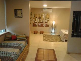 Ubicadisimo dto. Loft con terraza privada - Mendoza - 8