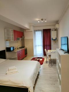 Center Apartments - Iaşi - 9