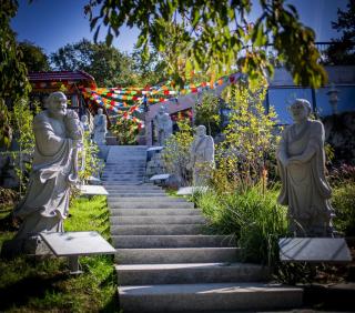 Grabensia Fogadó - 4