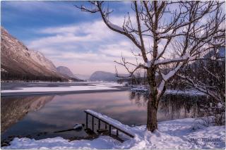 Pension Cerkovnik - 3