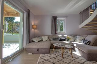 Complex of 2 villas Mugeba III with 2 private pools for up to 16 persons in Porec near the Aquapark - 1