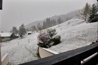 STUDIO 4 PERSONNES - PROCHE PIED DES PISTES - ST JEAN D'AULPS - PROCHE MORZINE - Cimes 18 - Saint-Jean-d'Aulps - 3