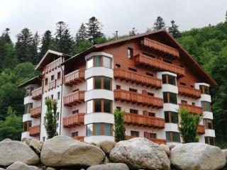 Apartmán RMNTK Chopok Juh - Horná Lehota - 1