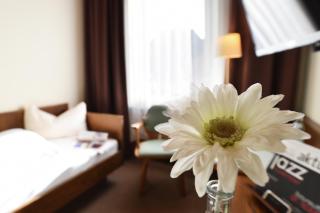 Gasthof & Hotel Goldener Hirsch - Bad Berneck im Fichtelgebirge - 4