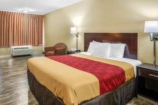 Econo Lodge near Missouri University of Science and Technology - Rolla - 5