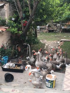 Hotel Rural Pantano de Burgomillodo - 3