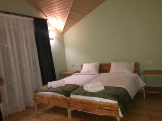 Cozy Place in Kazbegi - Kazbegi - 8
