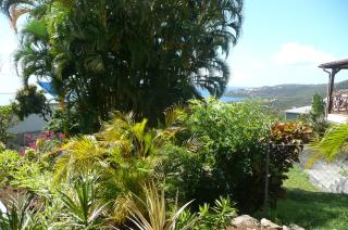 Douceurs Caraïbes, Gîte Cannelle - Bouillante - 7
