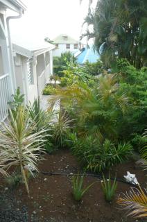 Douceurs Caraïbes, Gîte Cannelle - Bouillante - 5