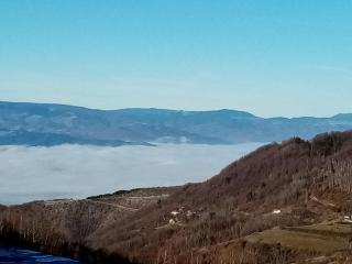 Pčelica L15 Milmari - Kopaonik - 9