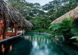 the SPACE Jungle Oasis - 0