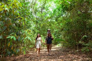 The Canopy Rainforest Treehouses & Wildlife Sanctuary - 4