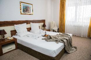The Balkan Jewel Resort, Trademark Collection by Wyndham - Bansko - 4