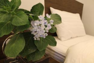 Top Star Hotel - Cabanatuan - 3