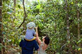 The Canopy Rainforest Treehouses & Wildlife Sanctuary - 2