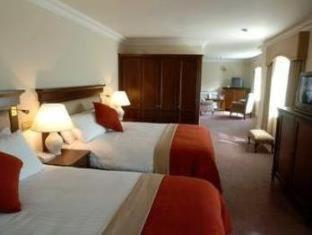 Old Ground Hotel - Ennis - 8