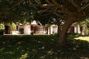Whale Rock Luxury Lodge - Hermanus - 1