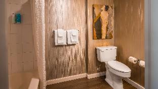 BEST WESTERN PLUS Carlton Plaza Hotel - 5