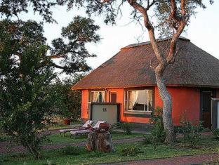 Mohlabetsi Safari Lodge - Hoedspruit - 9