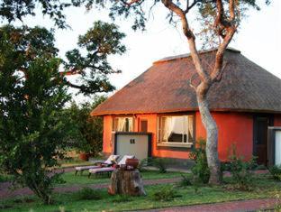 Mohlabetsi Safari Lodge - 7