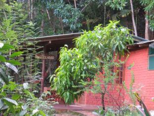 Polwaththa Eco Lodges - Digana - 4