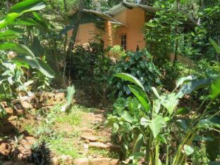 Polwaththa Eco Lodges - Digana - 3