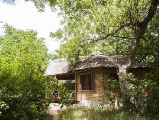 Selous Kinga Lodge - Kwangwazi - 4