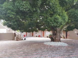 African Sky Guest House - Krugersdorp - 1