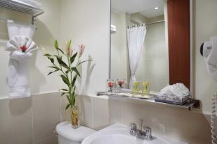 Comfort Inn Real San Miguel - San Miguel - 8