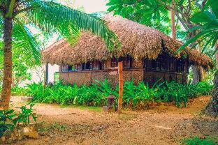 Flower Island Resort - Taytay - 2