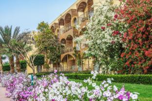 Desert Rose Resort - Hurghada - 3