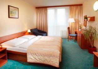 Pinia Hotel & Resort - Špindlerův Mlýn - 8