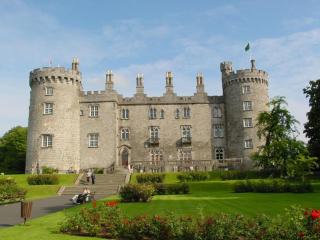 Kilkenny Hibernian Hotel - Kilkenny - 3