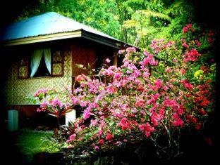 Nypa Style Resort Camiguin - 6