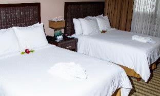 Rincon del Valle Hotel & Suites - San José - 9