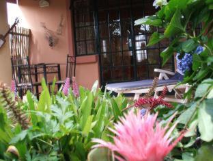 Cherry Tree Cottage B&B Linden - Johannesburg - 4