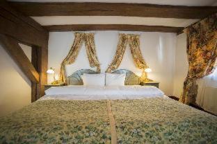 Hotel Gutenbergs - 5