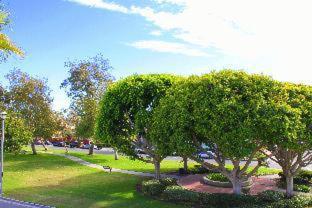 The Pacific Inn - Seal Beach - 6