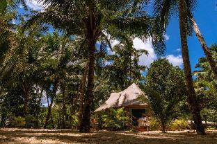Canvas & Orchids Retreat - Tatai - 5