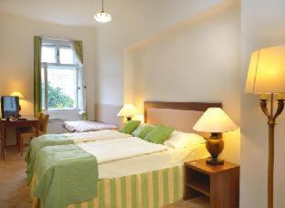 Wenceslas Square Hotel - Czech Leading Hotels - Praga - 9