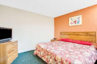 Travel Inn - 3