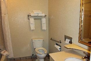 Cottonwood Suites Savannah Hotel & Conference Center - Savannah - 3