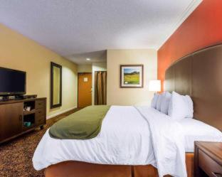 Napa Winery Inn - 5