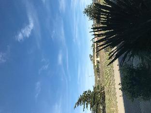 The Morgan Hotel San Simeon - San Simeon - 1
