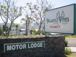 Pauanui Pines Motor Lodge - 9